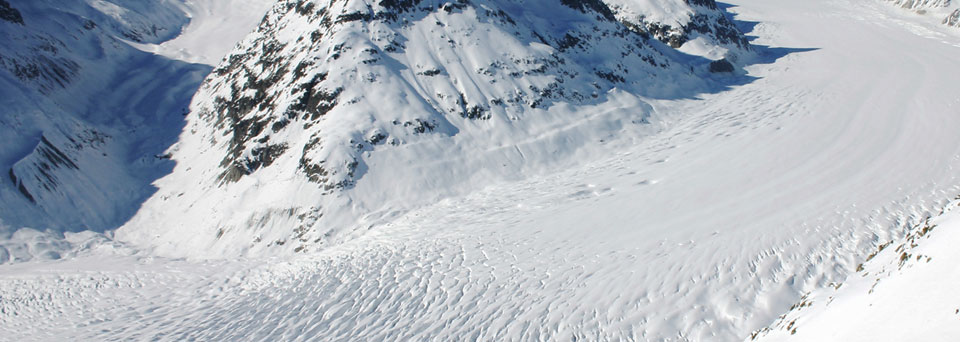 Fiesch