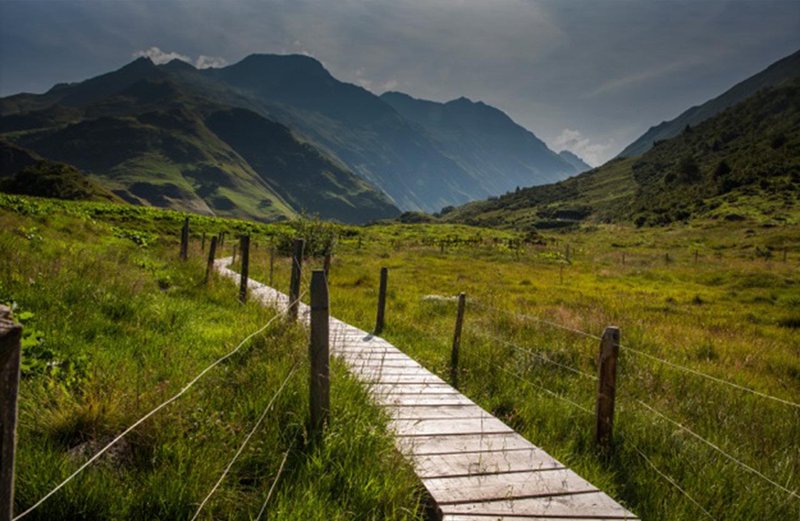 Slider Image