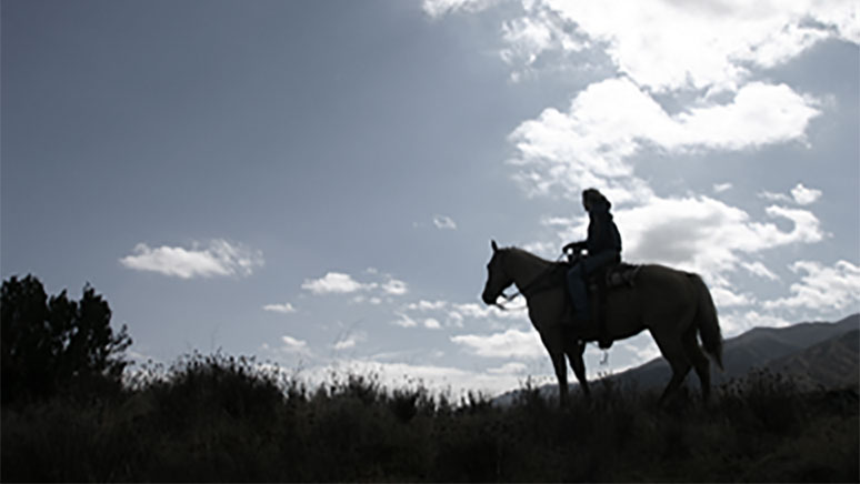 Reiten