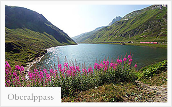 oeralpass