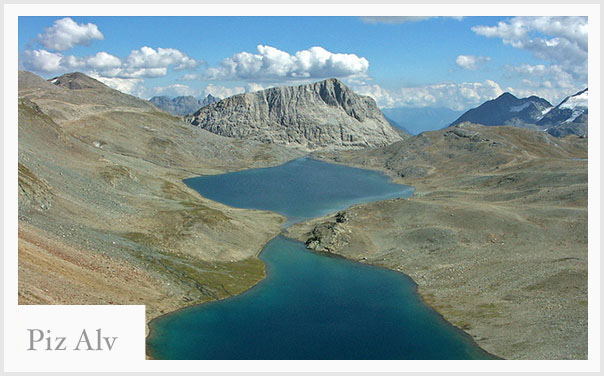 pizalv